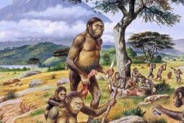 Generelle kjennetegn ved arten Homo erectus
