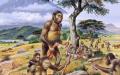 الخصائص العامة للأنواع Homo erectus