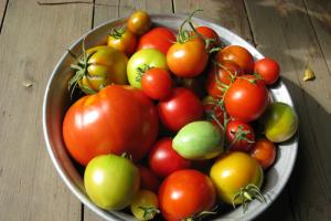 Секреты дозаривания помидоров в домашних условиях