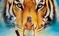 Viti i Tigrit, karakteristikat e të lindurve në vitin e Tigrit