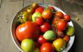 Секреты дозаривания помидоров в домашних условиях